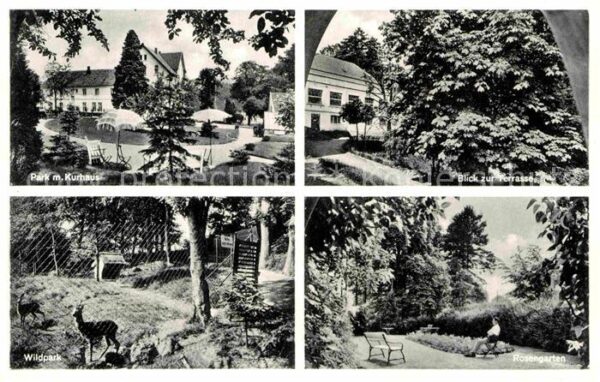 Bad Seebruch Park Kurhaus Wildpark Rosengarten Terra