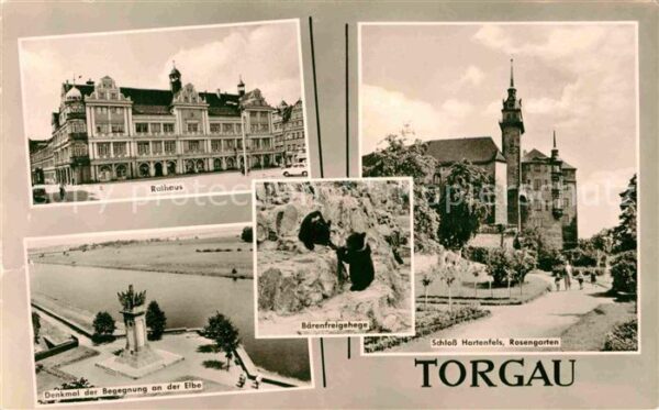 Torgau Schloss Denkmal der Begegnung Rathaus