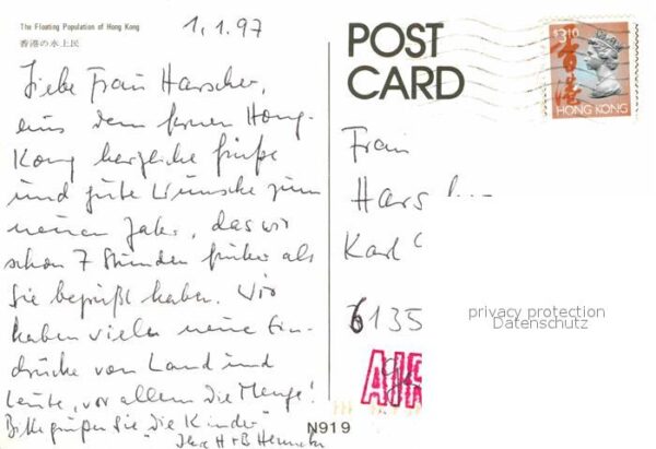 Hong Kong Fischer – Bild 2