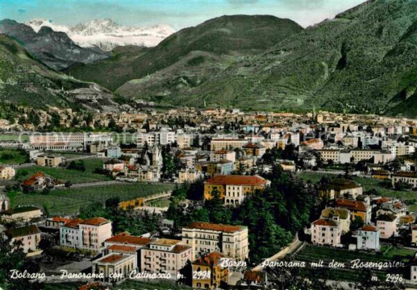 Bozen Suedtirol Panorama