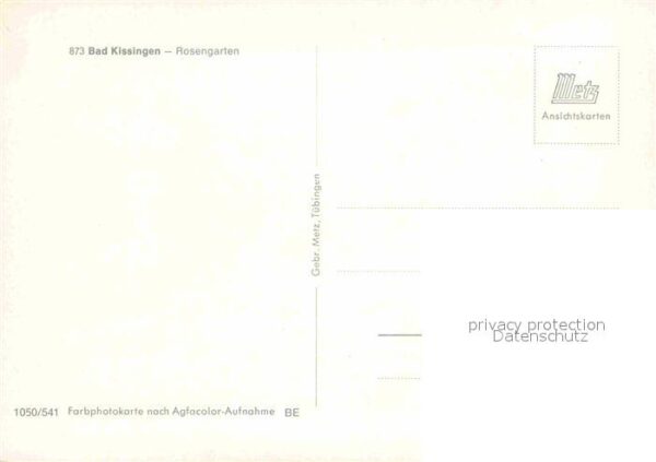 Bad Kissingen Rosengarten – Bild 2