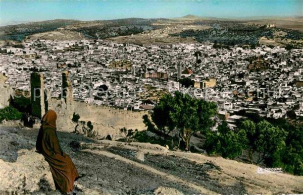 Fes Fez Maroc Vue sur la ville ancienne
