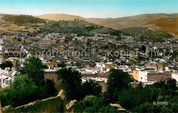 Fes Fez Maroc Vue sur la Medina et les Merenides