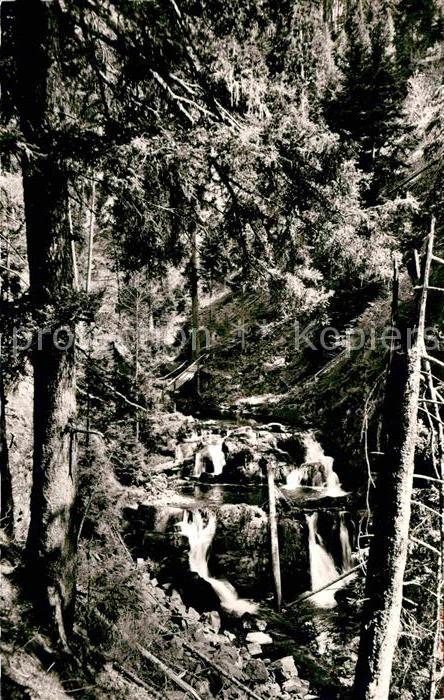 Roetenbach Baden Rötenbachschlucht