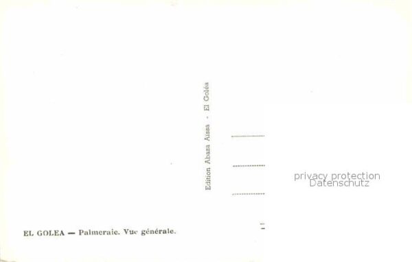 El Golea Palmeraie Vue generale – Bild 2