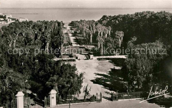Alger Algerien Le Jardin d_Essais Grande Avenue