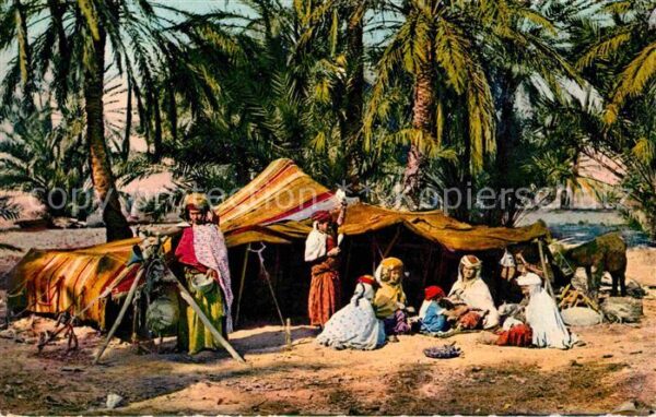 Alger Algerien Campetment de nomades dans l'oasis