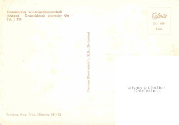 Ihringen Kaiserstühler Winzergenossenschaft Flie – Bild 2