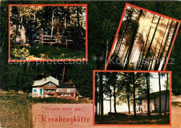 Viechtach Bayerischer Wald Kronberghütte Waldidylle