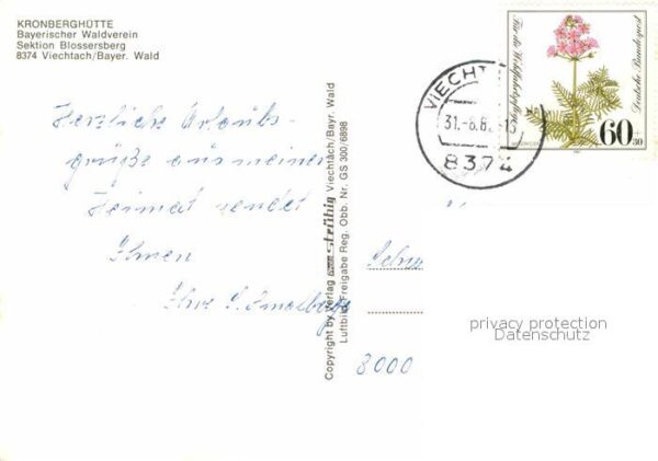 Viechtach Bayerischer Wald Kronberghütte Waldidylle – Bild 2