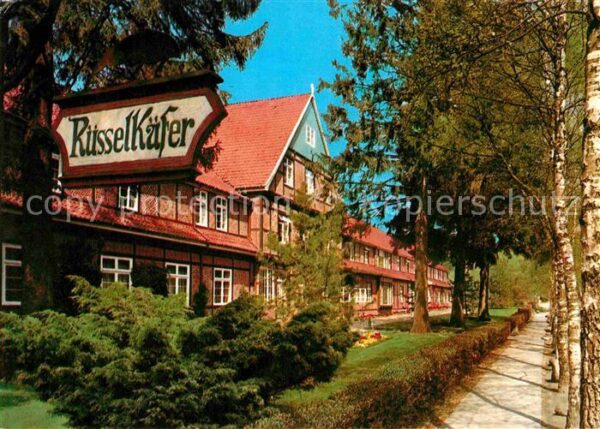 Jesteburg Waldklinik Rüsselkäfer