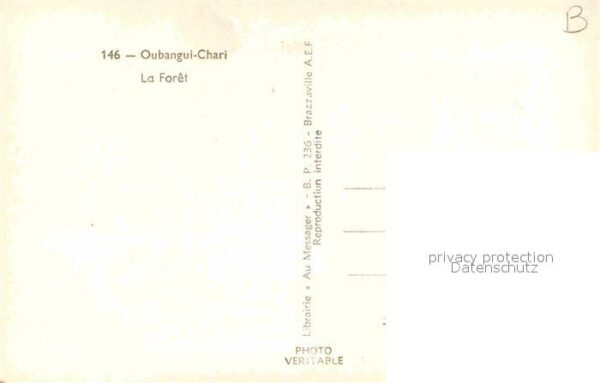 Oubangui Chari La foret – Bild 2