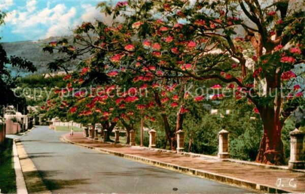 Saint-Denis Reunion Boulevard Lacaussade