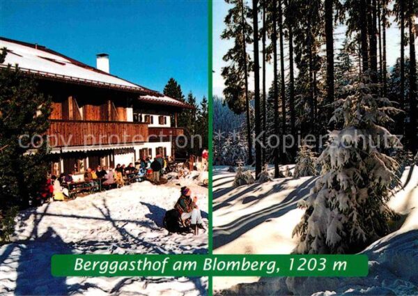 Bad Toelz Berggasthof am Blomberg Waldpartie Wint