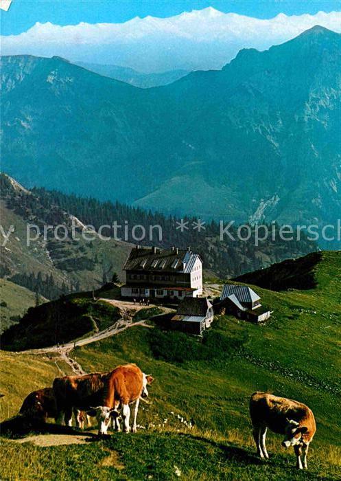 Rotwandhaus Panorama Blick gegen Hohe Tauern Venedi
