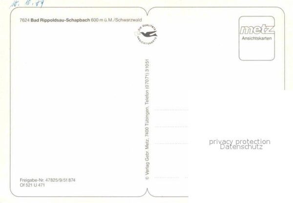 Schapbach Panorama Schwarzwald Fliegeraufnahme – Bild 2