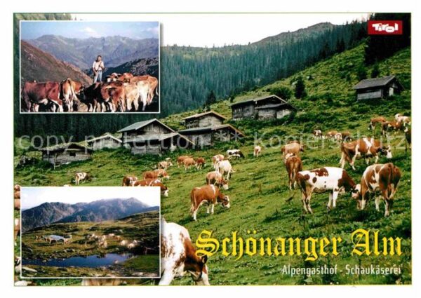 Auffach Alpengasthof Schaukäserei Schönanger Al