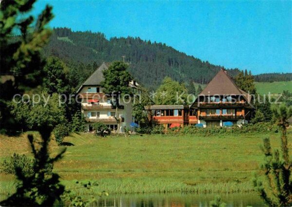 Hinterzarten Hotel Reppert