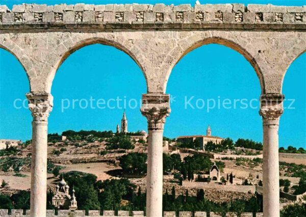 Jerusalem Yerushalayim Temple Area Olives