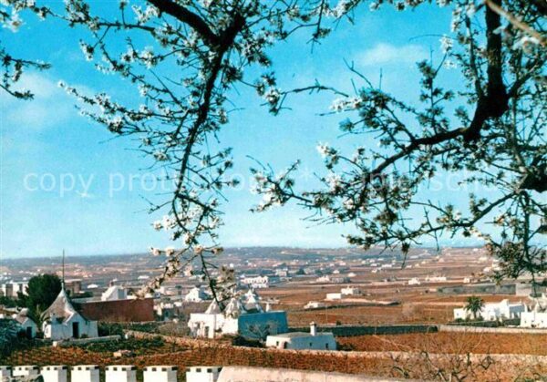 Martina Franca