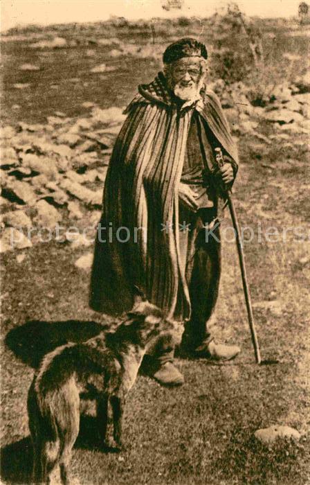 Hirte Hund Cantal Patre