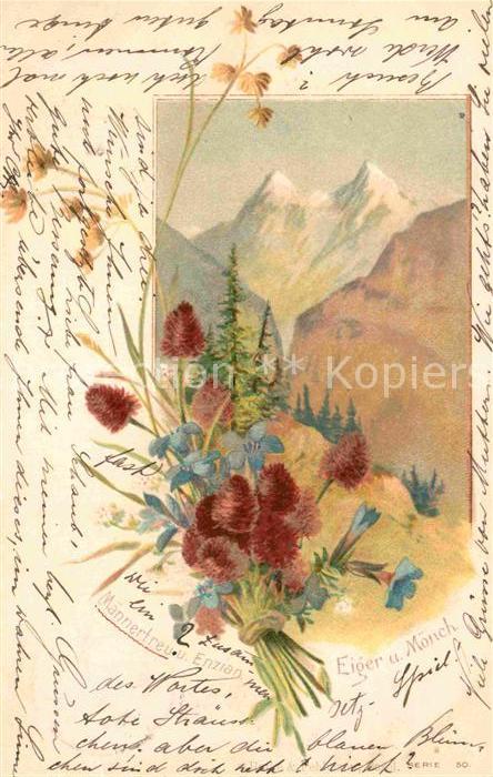 Blumen Männertreu Enzian Eiger Mönch Litho