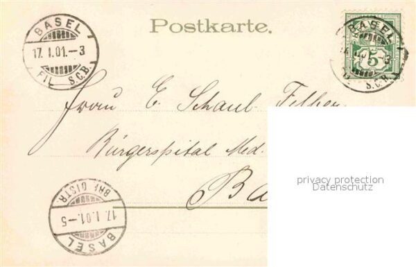 Blumen Männertreu Enzian Eiger Mönch Litho – Bild 2