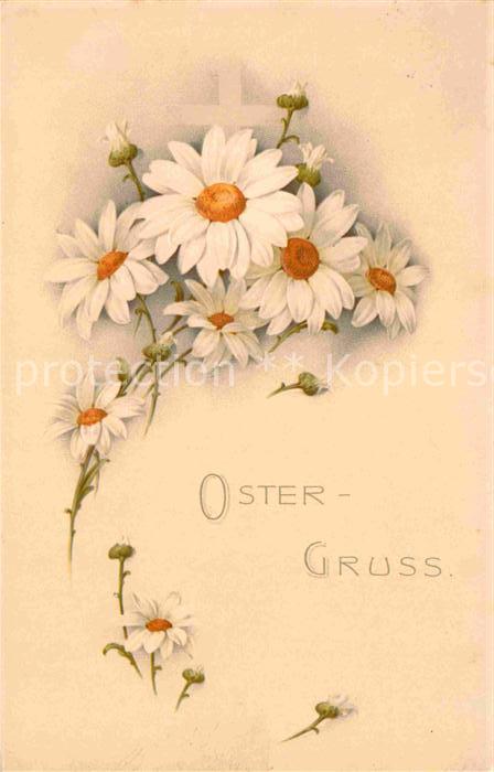 Ostern Easter Paques Margeriten