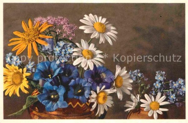 Blumen Enzian Margeriten Vergissmeinnicht