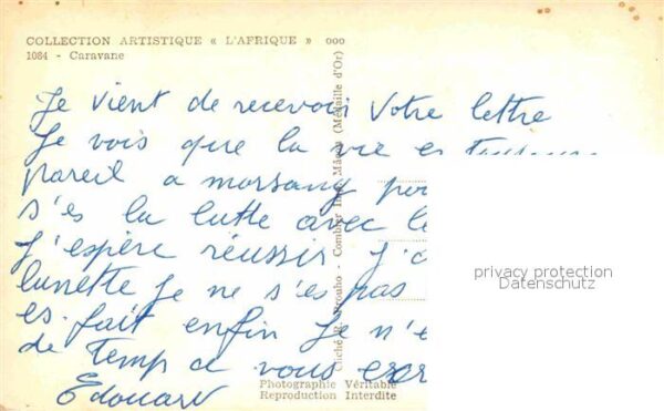 Kamel  Camel Chameau Caravane Afrique – Bild 2