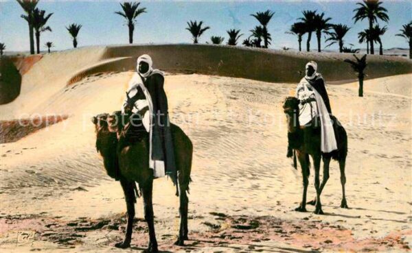 Scenes et Types Nr. 1124 Paysage au Desert