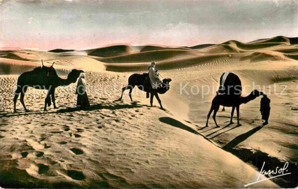 Scenes et Types Nr. 30 C Bassour dans les Dunes