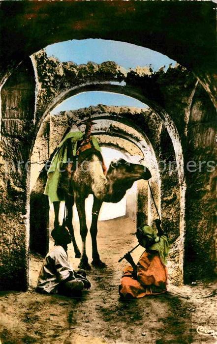 Kamel  Camel Chameau Une Vieille Rue Afrique
