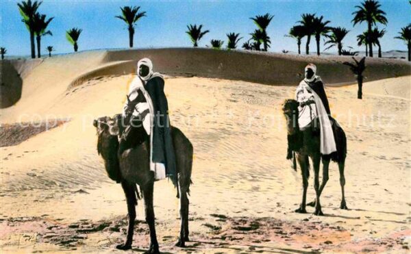 Scenes et Types Nr. 1123 Paysage au Desert Kamele