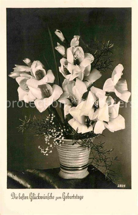 Geburtstag Blumen