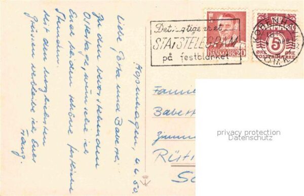 Kuenstlerkarte V. Hancke Narzissen – Bild 2