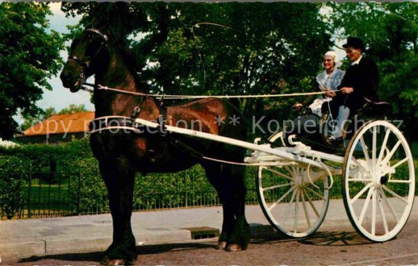 Pferdekutschen Trachten Holland