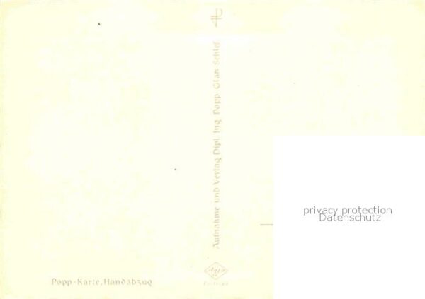Foto Popp Nr. 6475-3 Auf der Weide Kühe – Bild 2