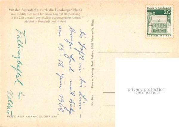 Postkutsche Schafe Lüneburger Heide – Bild 2