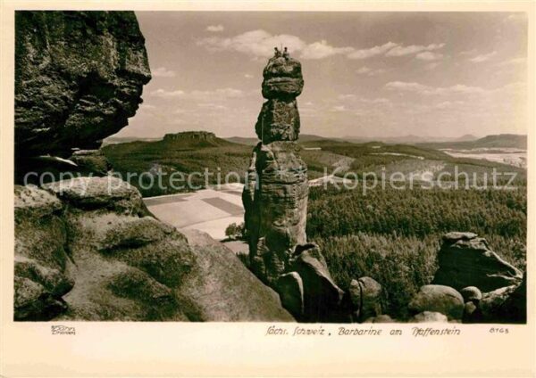Foto Hahn Nr. 8163 Barbarine Pfaffenstein Sächsische