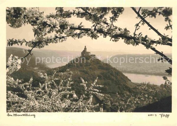 Foto Popp Nr. 6291-7 Marksburg