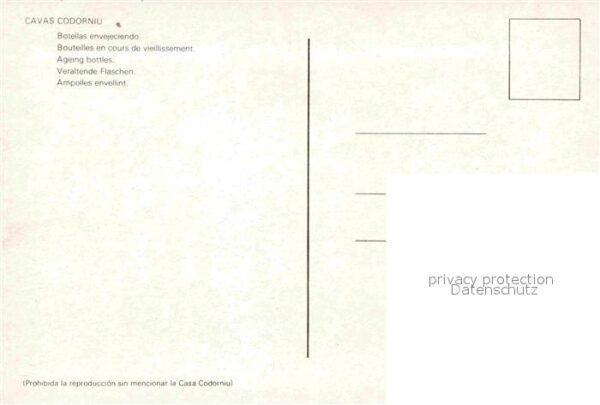 Alkohol Sekt Champagner Cavas Codorniu Botellas – Bild 2