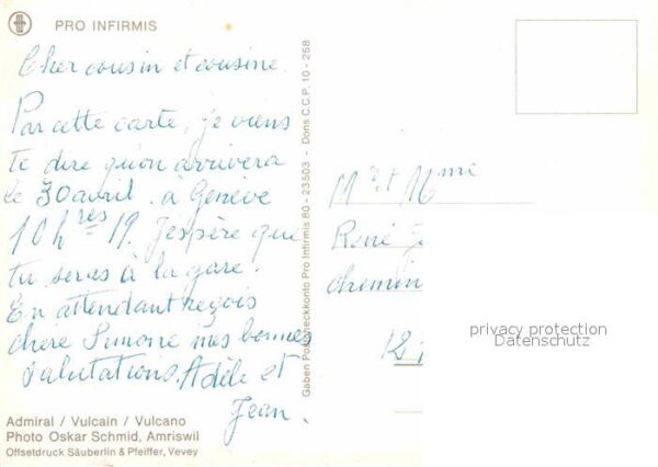 Schmetterlinge Admiral Vulcain Vulcano – Bild 2