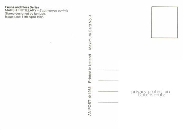 Schmetterlinge Marsh Fritillary Eire 44 Skabiosen-Sche – Bild 2