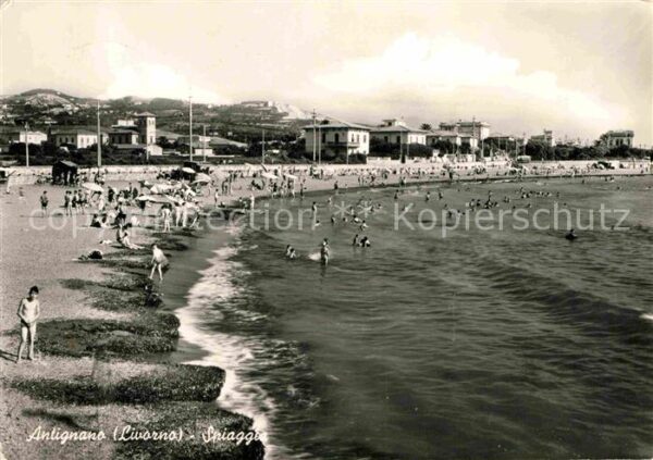 Antignano di Liverno Strand