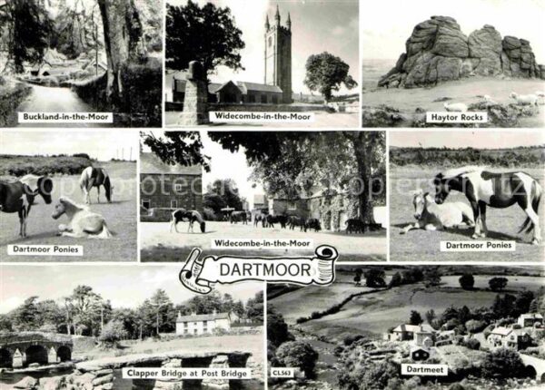 Dartmoor Buckland and Weidecombe in the Moor Hay