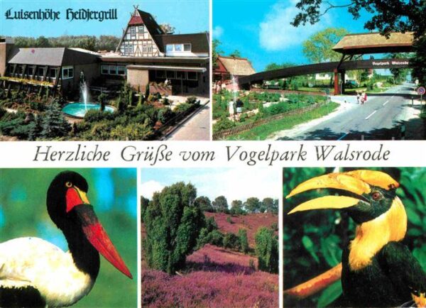 Walsrode Lueneburger Heide Vogelpark Luisenhöhe Heidjergrill