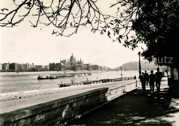 Budapest Donaupartie