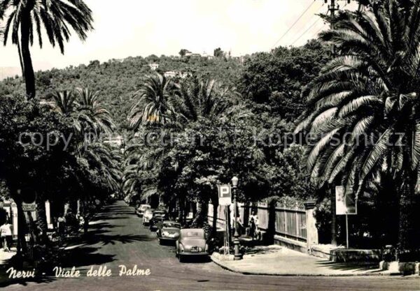 Nervi Viale delle Palme