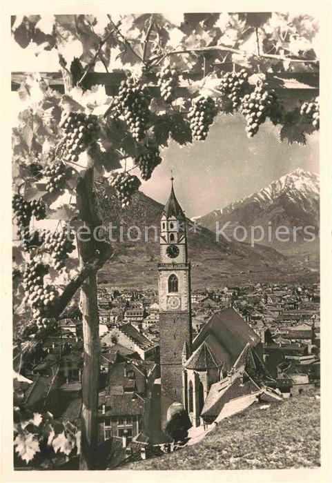 Meran Merano Castel Tirolo Traubenreife Schloss Tiro